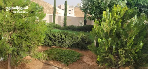  9 فيلا للبيع طبربور