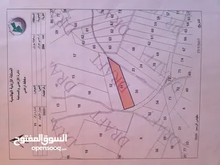  5 قطعة أرض 16 دونم بواجهه 70 متر على الشارع في قرية قفقفا تبعد عن الشارع الرئيسي جرش اربد كيلومتر ونصف