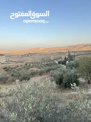  6 ارض مرتفعه للبيع
