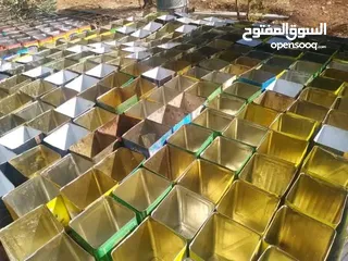  3 تنك زيت فارغ