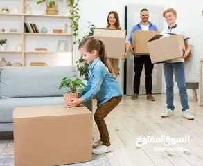 8 رولات تغليف للبيع لضب الزجاج كراتين فارغة للبيع