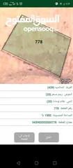  1 ارض بالمفرق بسعر حرق