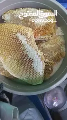  2 عسل بلدي شعفي صعدي من اجود انواع العسل اليمني