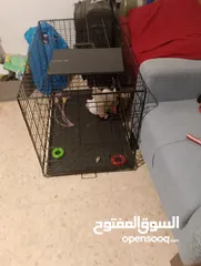 2 للبيع للبيع للبيع