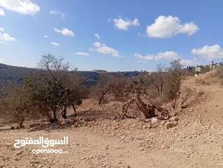  5 أرض مميزة للبيع