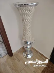  1 فازه طول متر ونص من عمان الغريبه