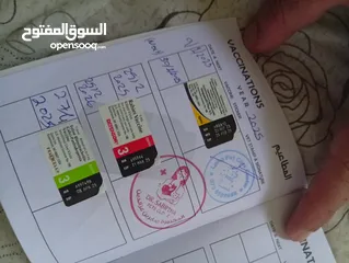 2 كلب  فرنش تيرير