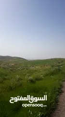  5 مادبا ماعين قطعة أرض زراعية مميزة مطلة على البحر الميت والضفة الغربية بمساحة 21 دونم