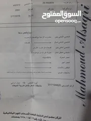  10 ستاركس ليمتد موديل 2000