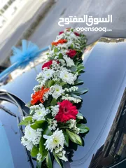  4 سيارات للاجار