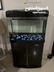  6 حوض سمك Aquarium