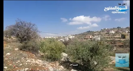  5 أرض لقطة في منطقة بدر الجديدة