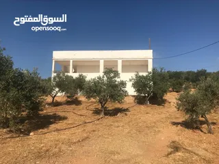  1 مزرعه مشجره بالكامل مع بيت ريفي مستقل للبيع