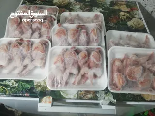  6 يتوفر بيض السمان ولحم طائر السمان طازج وجديد سعر 2500 للطبقه سعر جمله يختلف