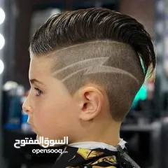  13 قلم موس مع 10 شفرات استبدال حسب  نوع الشعر وحجم الرأس و الرسمه المطلوبه