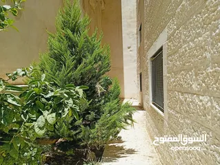  12 شقة للبيع او البدل