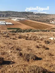  1 ارض6200دنم زراعي للبيع سعر مغري