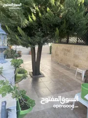  21 فيلا في منطقة الدوار السابع