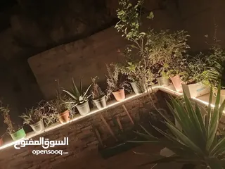  10 شقه منزليه