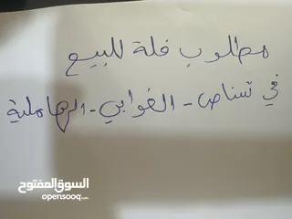  3 مطلوب فلة للبيع فشناص الغوابي او الهاملية