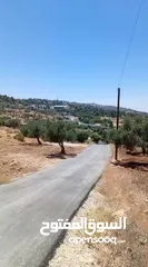  3 فرس البيع الجادين فقط