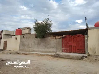  24 بيت تجاوز في منطقة الامن الداخلي حي الشرطه