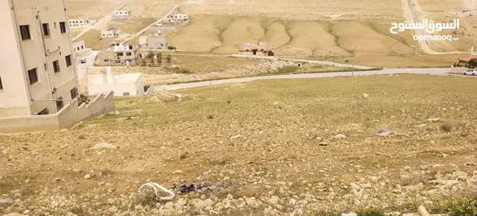  3 جريبا جوفة ذياب