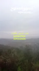  8 ارض مزروعة زيتون مرتبة في اجمل اراضي عصيرة الشمالية حوض واد صياد إطلالة رائعة ارض مربعة بسعر مرتب ..