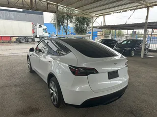  5 Tesla Y 2023 long range عداد 3000 ميل