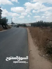  29 يوسف ابو محمد