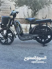  3 دراجة كهربائية بطة