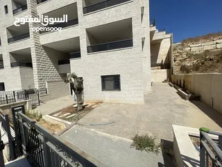  3 مرح صافي بال فايندر