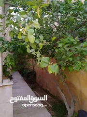  5 بيت للايجار