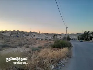  16 قطع اراضي مميزة الزرقاء ضاحية المدينة المنورة