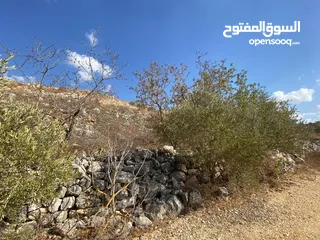 3 قطعة ارض للبيع  كوشان نظيف  تنازل مباشر تصنيف A منطقة جبل الشيخ عيسى  اطلاله غربيه