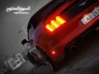  8 فقط من مكتب Lion Group فورد موستينج كشف للإيجار 2018 Ecoboost السياره رياضية فارهة تستحق التجربة