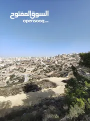  7 أرض 500 متر للبيع في لوزا
