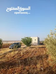  10 مزرعه أربعه دونم مشيكه بالكامل ارض زراعيه وبيت ريفي غرفتين وحمام ومطبخ صغير وباربكيو وساحه واسعه