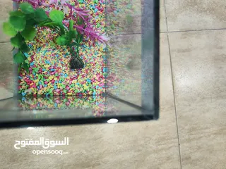  2 حوض سمك مجهز عبي مي و حط سمكاتك ، الطول 32 سم ارتفاع 23 سم عمق 21 سم
