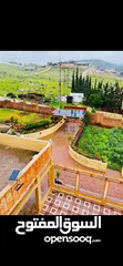  11 مزرعة للبيع في تل الرمان خيل وليل