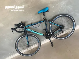  5 حرق سعرررررر   .....   بسكليت رود سبق للبيع Trinx Tempo 0.1 Road Bike – Italian Design, !