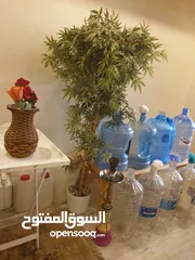  14 كولر ومتفرقات للبيع