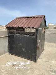  2 شيلة للبيع