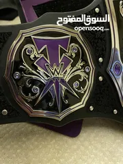  9 Undertaker Legacy Championship #58