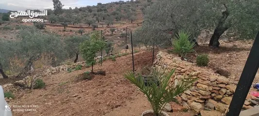  3 ارض طابو منطقة أ
