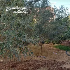  3 منزل للبيع