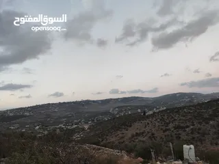 2 ارض منطقة أ ذات أبعاد واطلاله مميزة 1101 متر كوشان مفروز