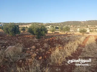  9 ارض للبيع جرش ام قنطره