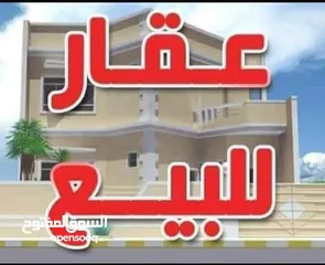  2 عقار للبيع مساحة الارض1000متر