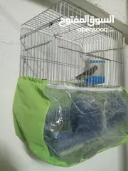  4 كنار للبيع حبشي نار